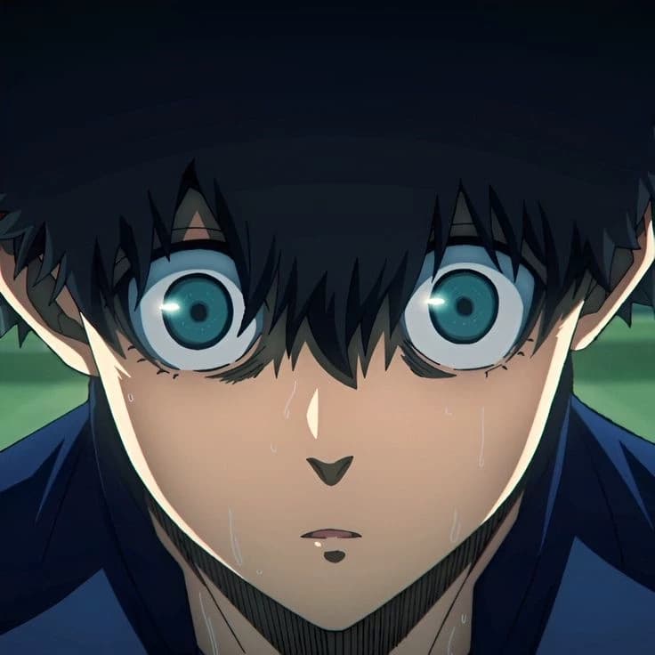 Nikko ikki  thumbnail