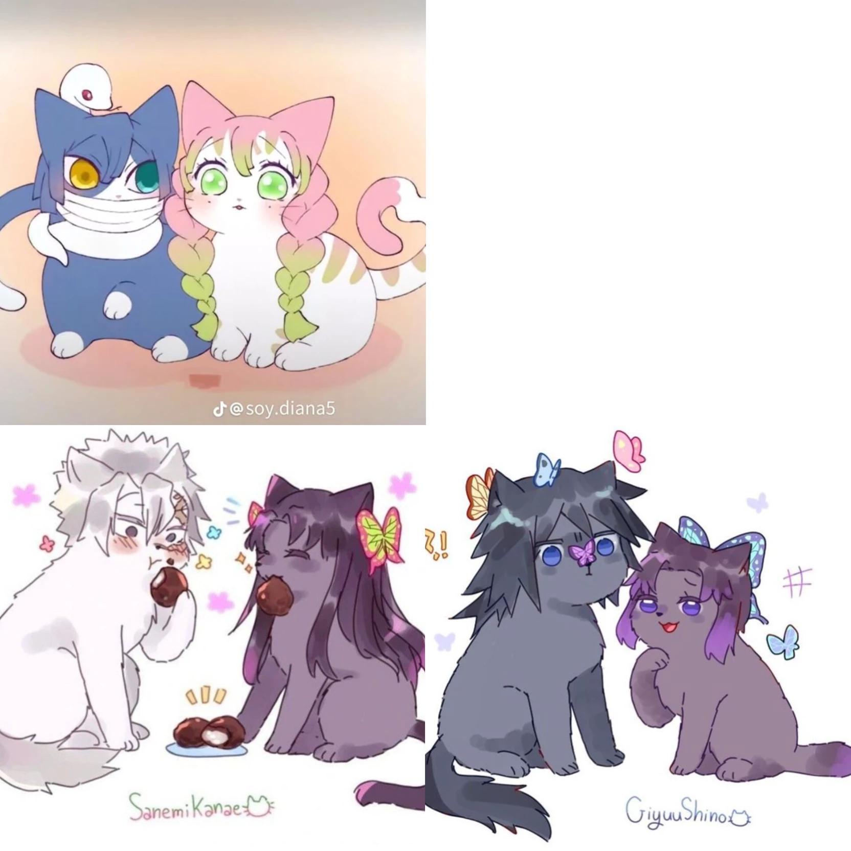 Your cats thumbnail