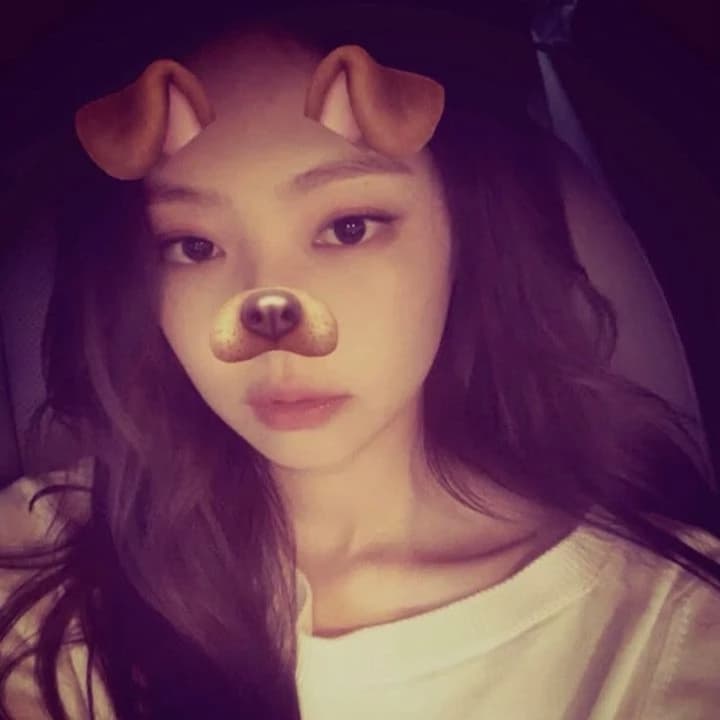 Veterinaria Jennie  thumbnail