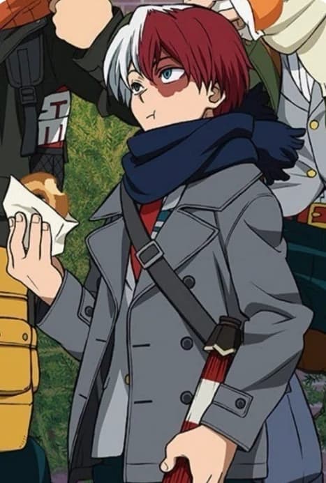  Shoto Todoroki  thumbnail