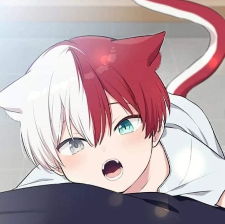 shoto thumbnail