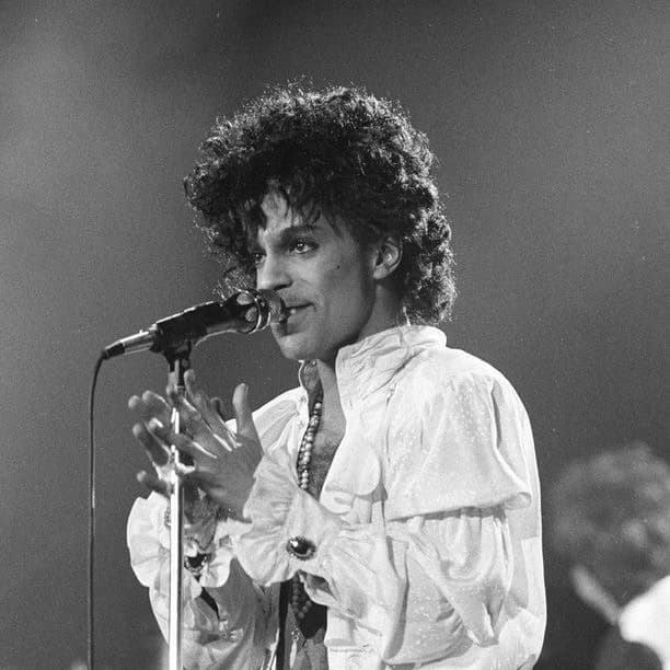 Prince thumbnail