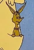 Rudy Kangaroo thumbnail
