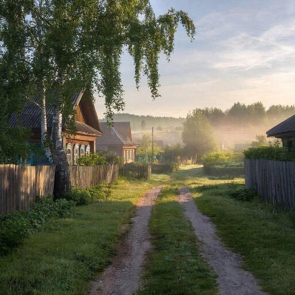 A Trip to the Countryside with Friends thumbnail