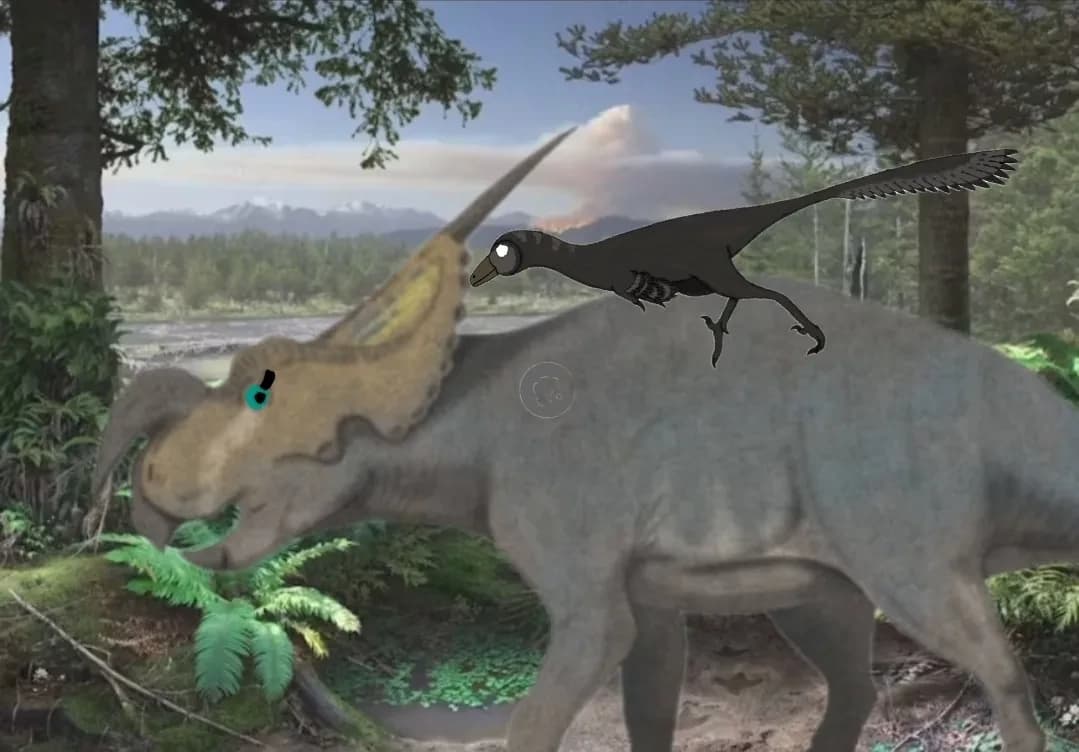 enia x will thumbnail