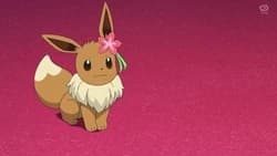 Eevee femenina  thumbnail