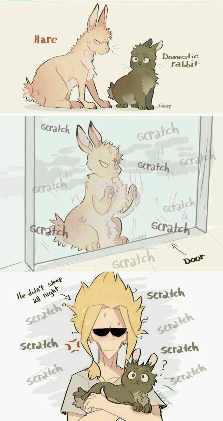 Bkdk Rabbits thumbnail