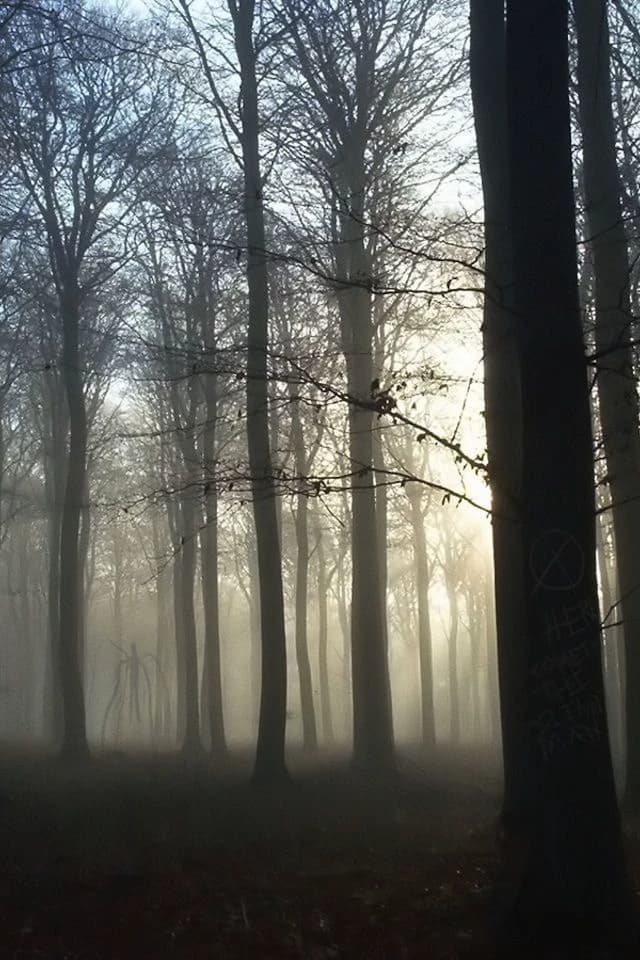 Creepypasta (pick me) thumbnail