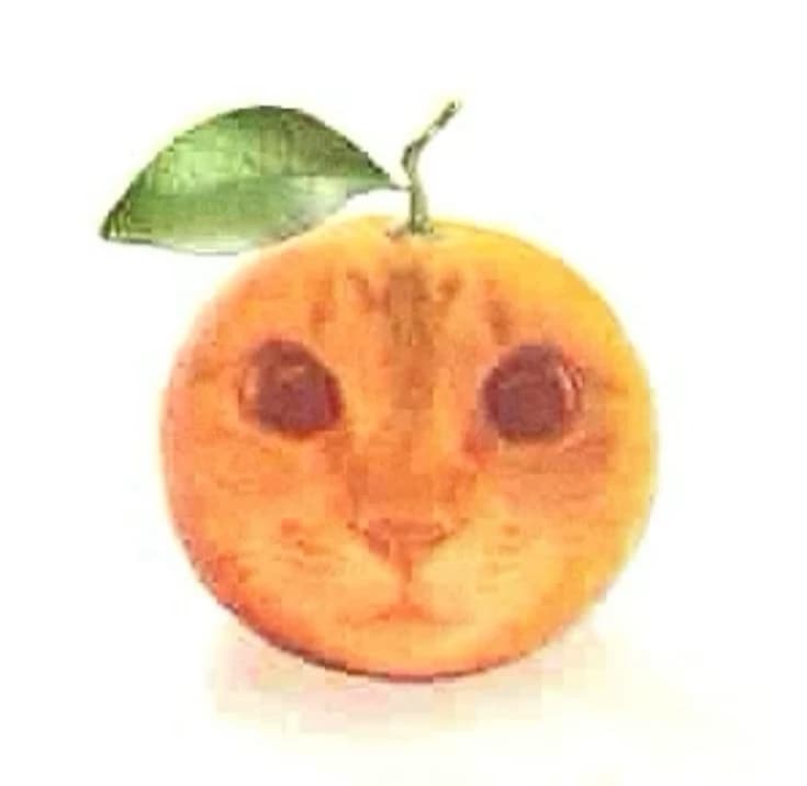 Meorange  thumbnail