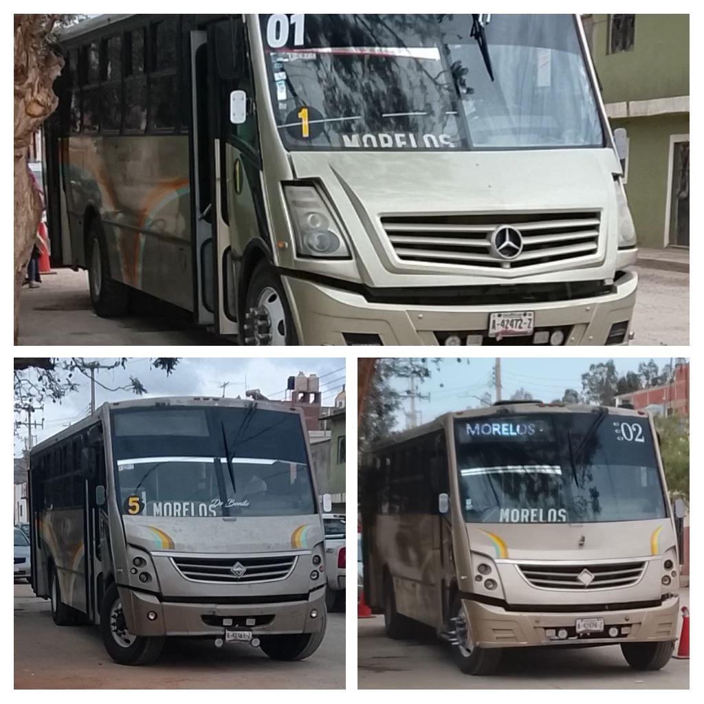 Team transportes ejidales morelos  thumbnail