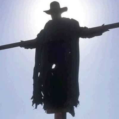 Jeepers creepers  thumbnail