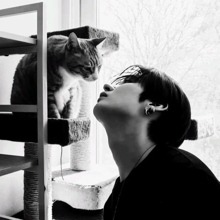 Lee Minho thumbnail