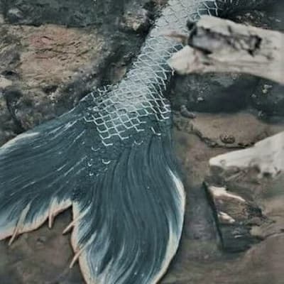 Caspian thumbnail
