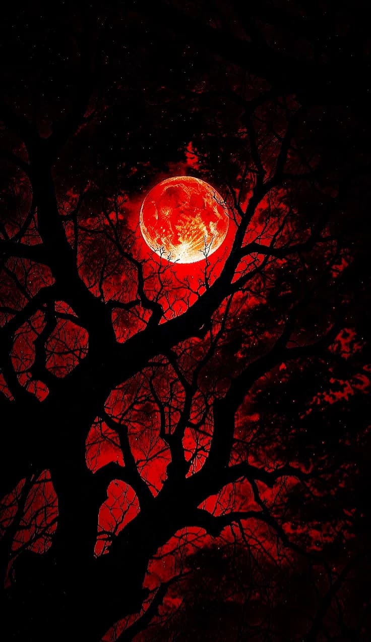 {When the Blood Moon Calls: of a Kingdom of Endless Dusk} thumbnail