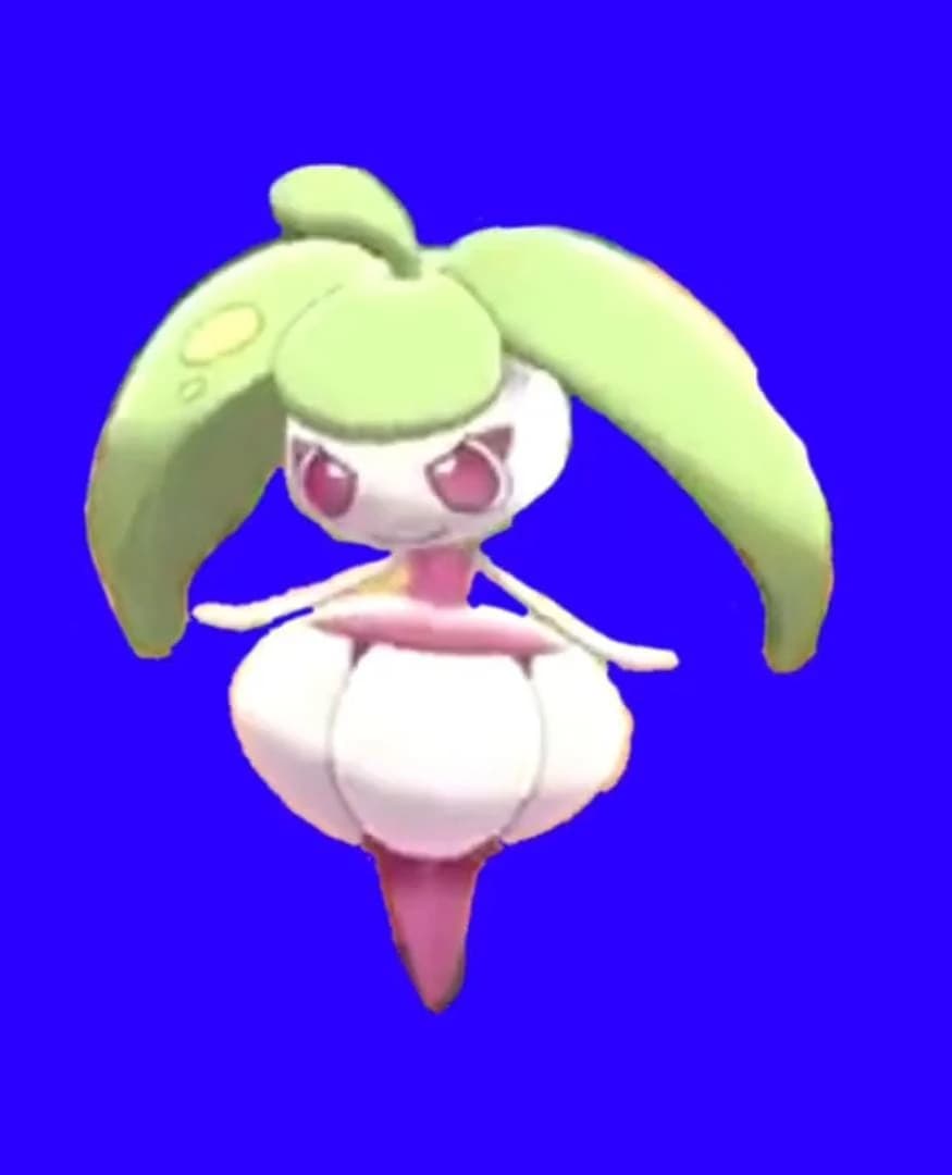Stenee  thumbnail