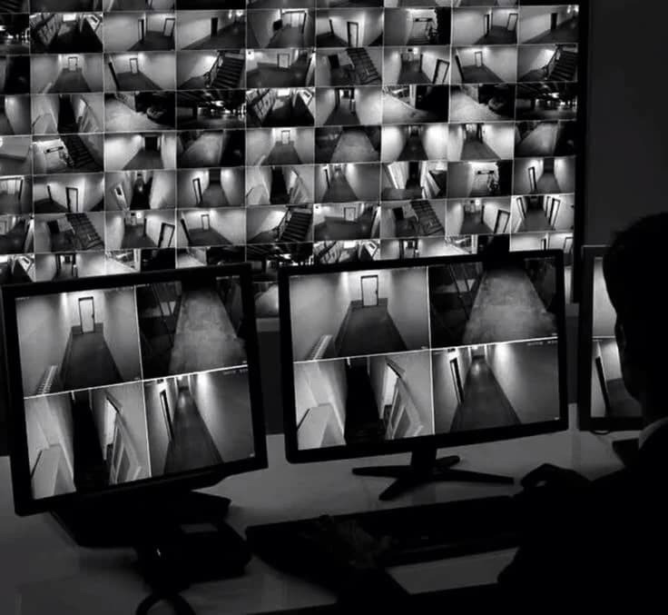 stalker thumbnail