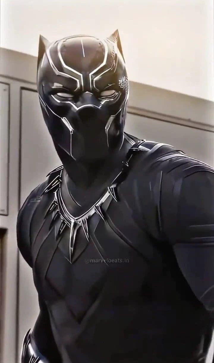 T'Challa (Black Panther)  thumbnail