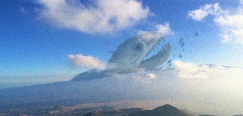 Behemoth thumbnail