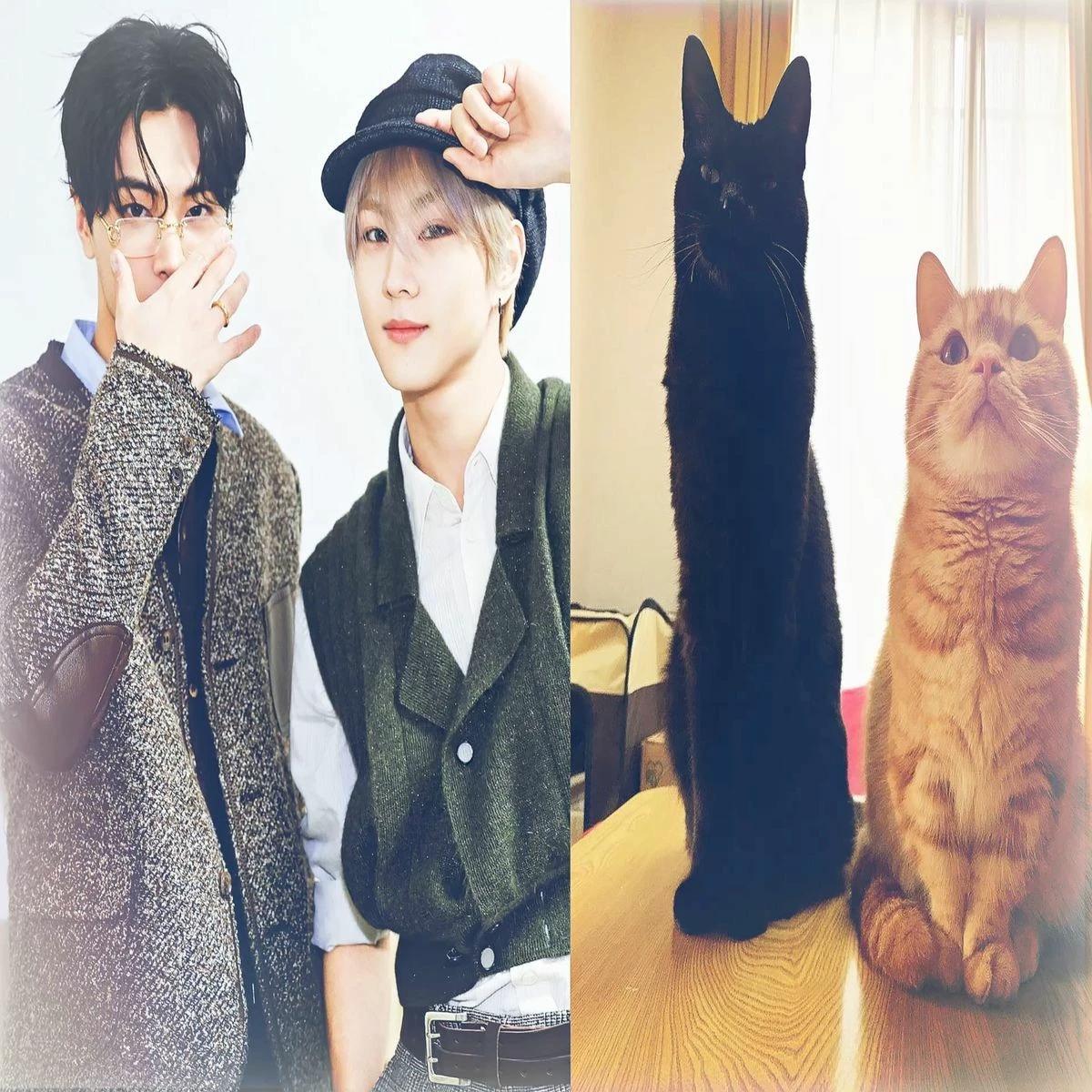 jaywon 🔥💗 thumbnail