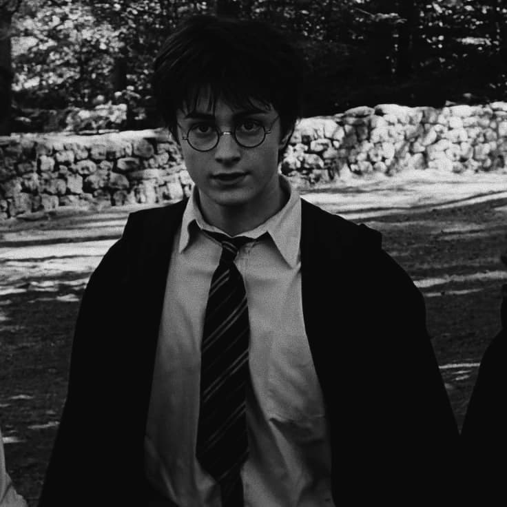 HARRY POTTER thumbnail