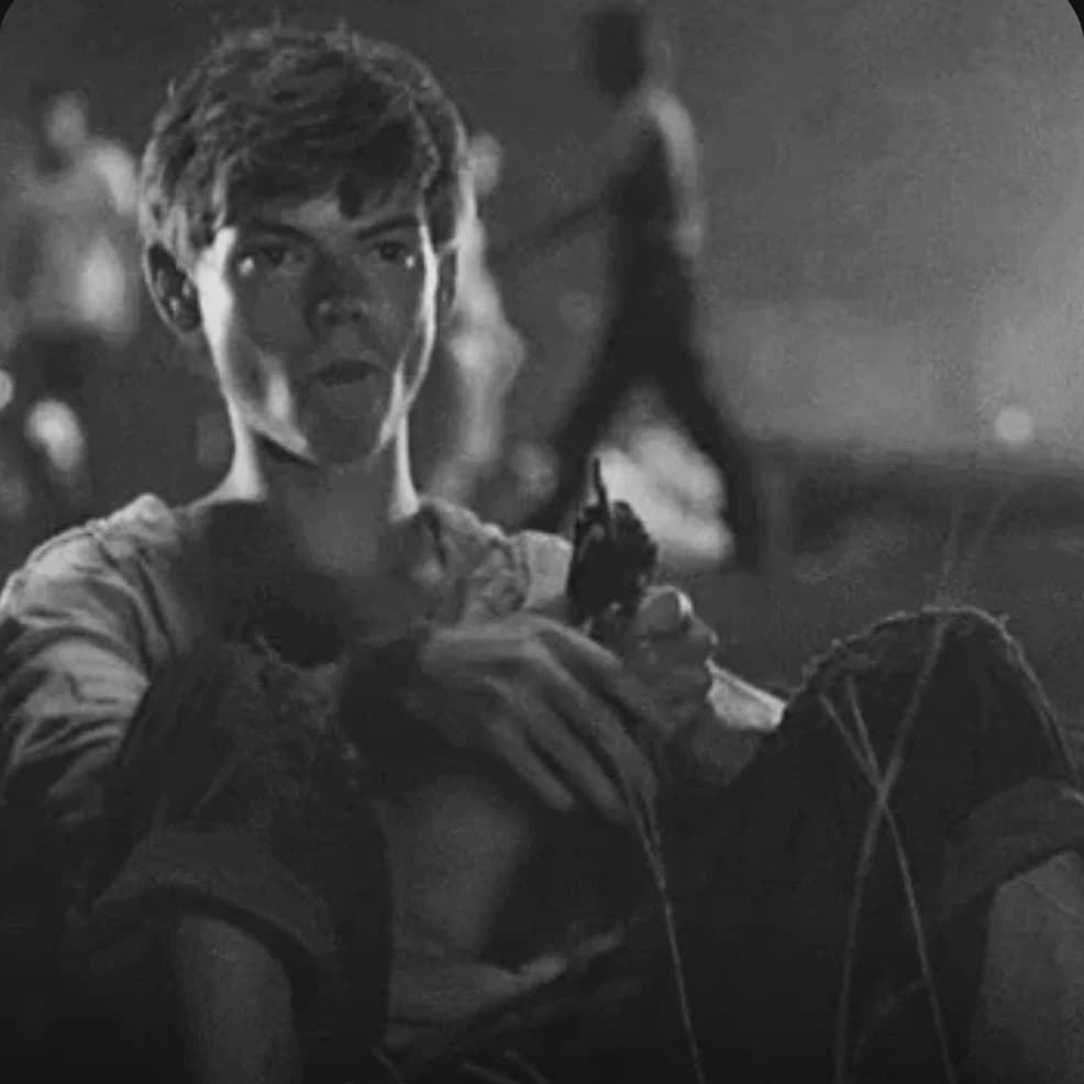 Newt thumbnail