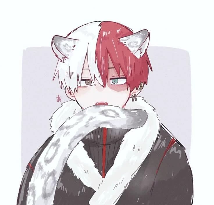 Shoto Todoroki / Sho thumbnail