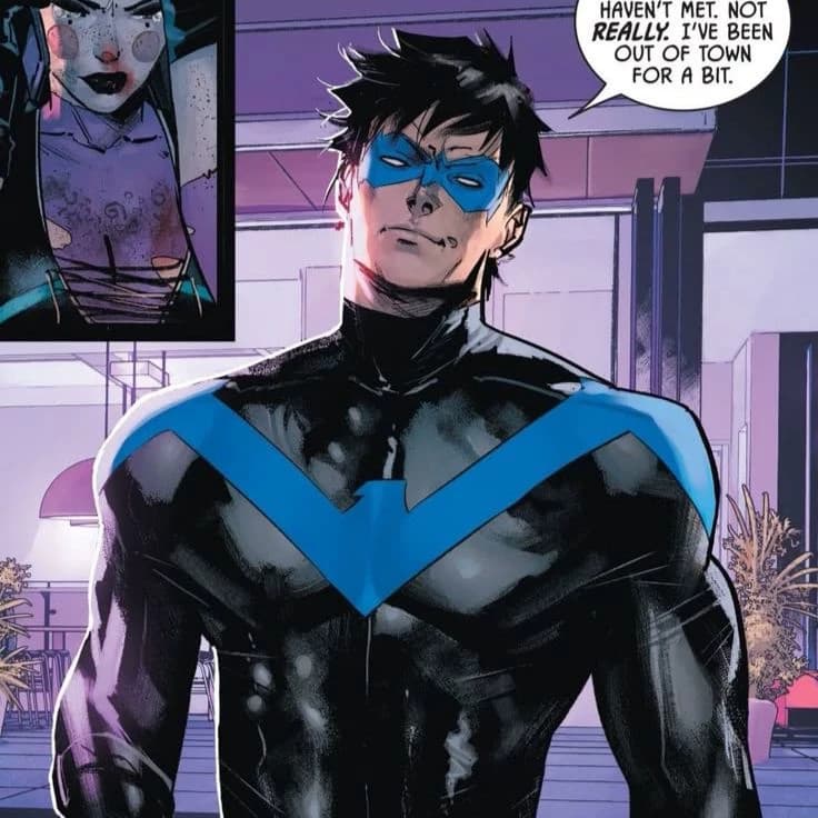Dick Grayson / Nightwing thumbnail