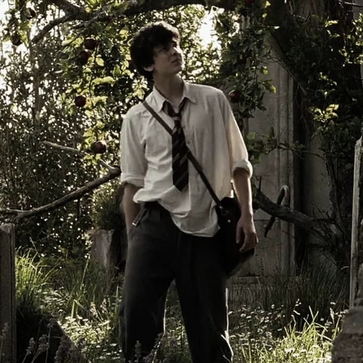 Edmund Pevensie thumbnail