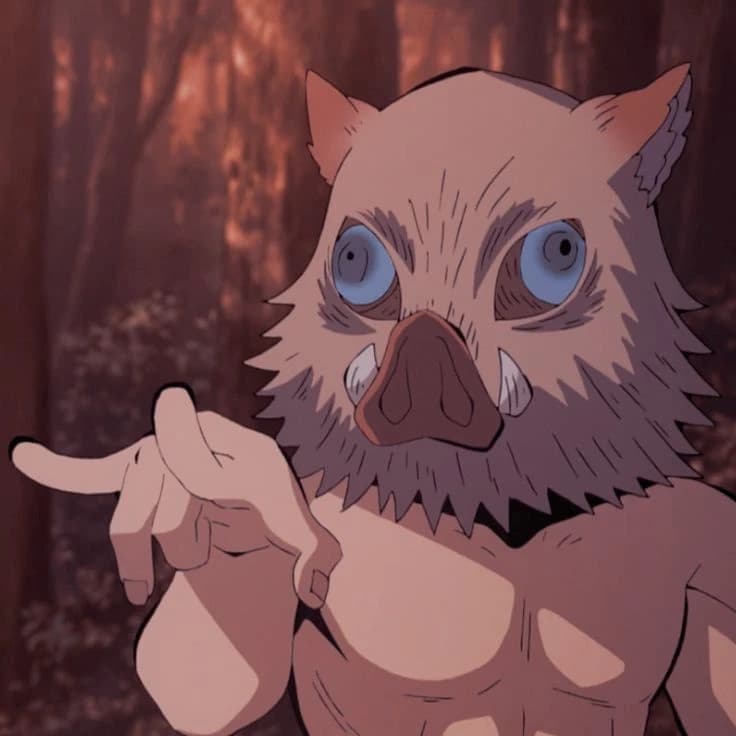 || Inosuke Hashibira. || thumbnail