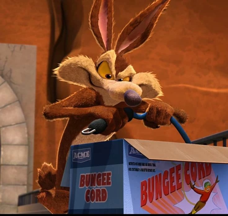 Wile And Coyote thumbnail