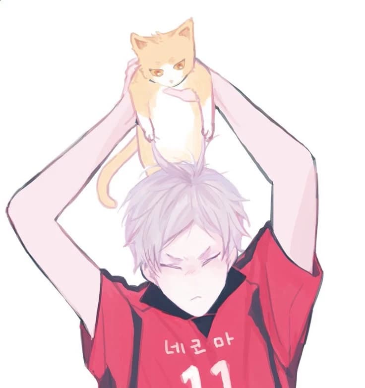 Lev Haiba  thumbnail