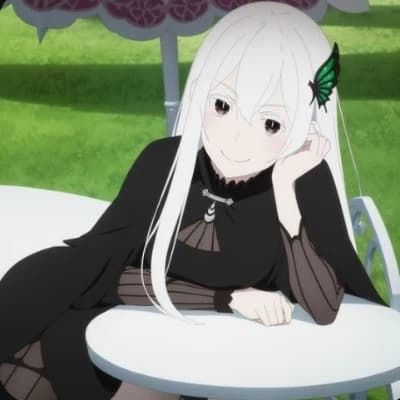 Echidna thumbnail