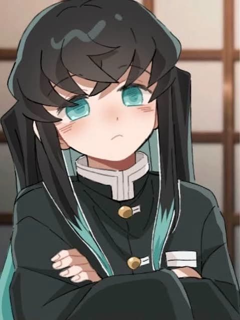Hashiras  thumbnail