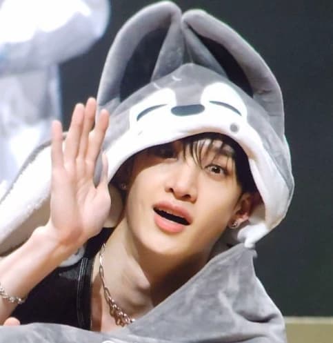 Bang chan thumbnail