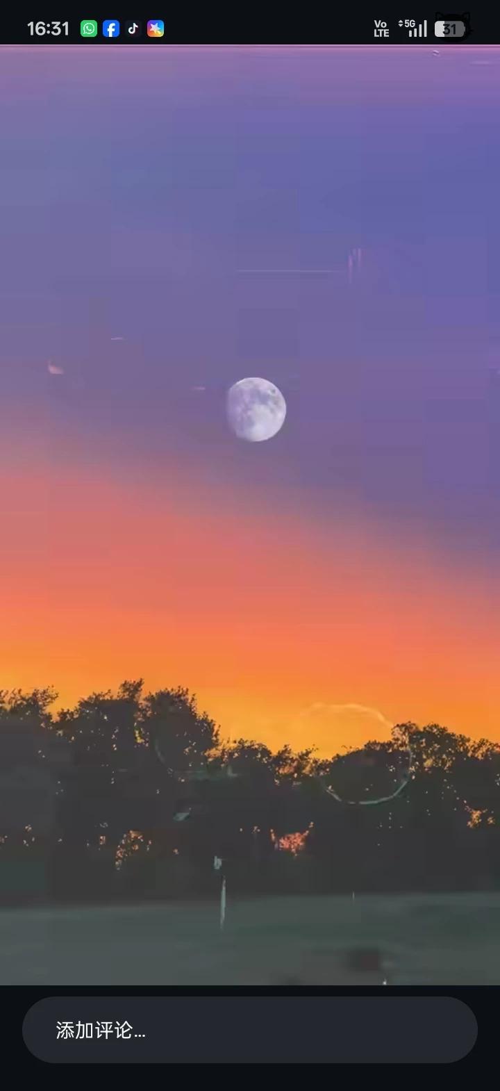 月歆晚夜 thumbnail