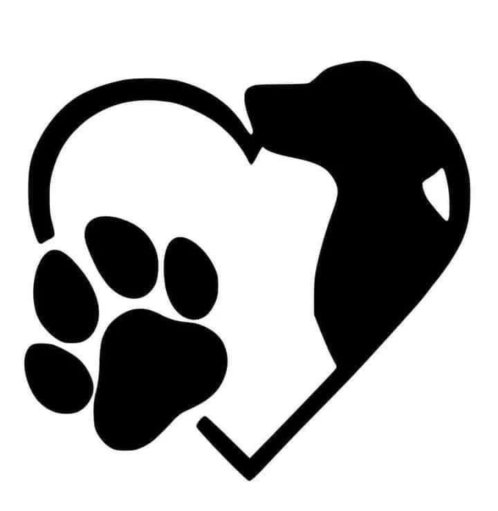 Pets Shop 2 thumbnail