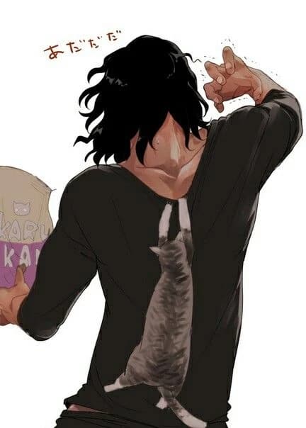 Shota Aizawa -profesor📚 thumbnail