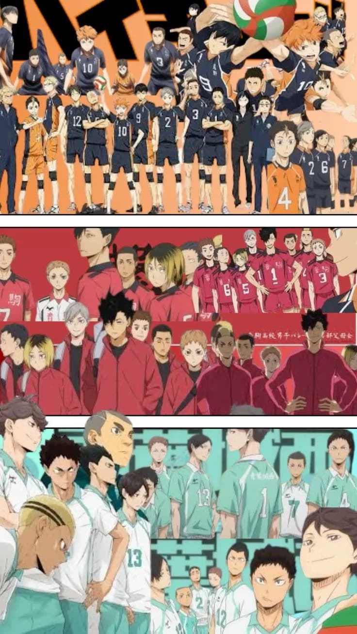 aoba jhosai ,karasuno y nekoma thumbnail