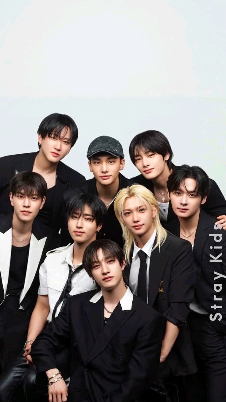 Stray kids/Niños callejeros  thumbnail