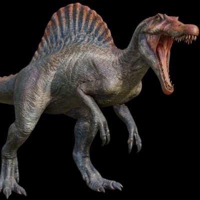 Spinosaurus thumbnail