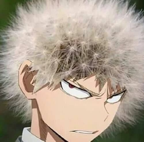 MHA GC thumbnail