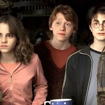 The golden trio!!  thumbnail