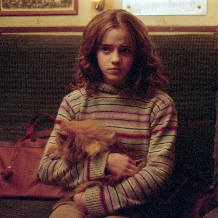 Hermione Granger thumbnail