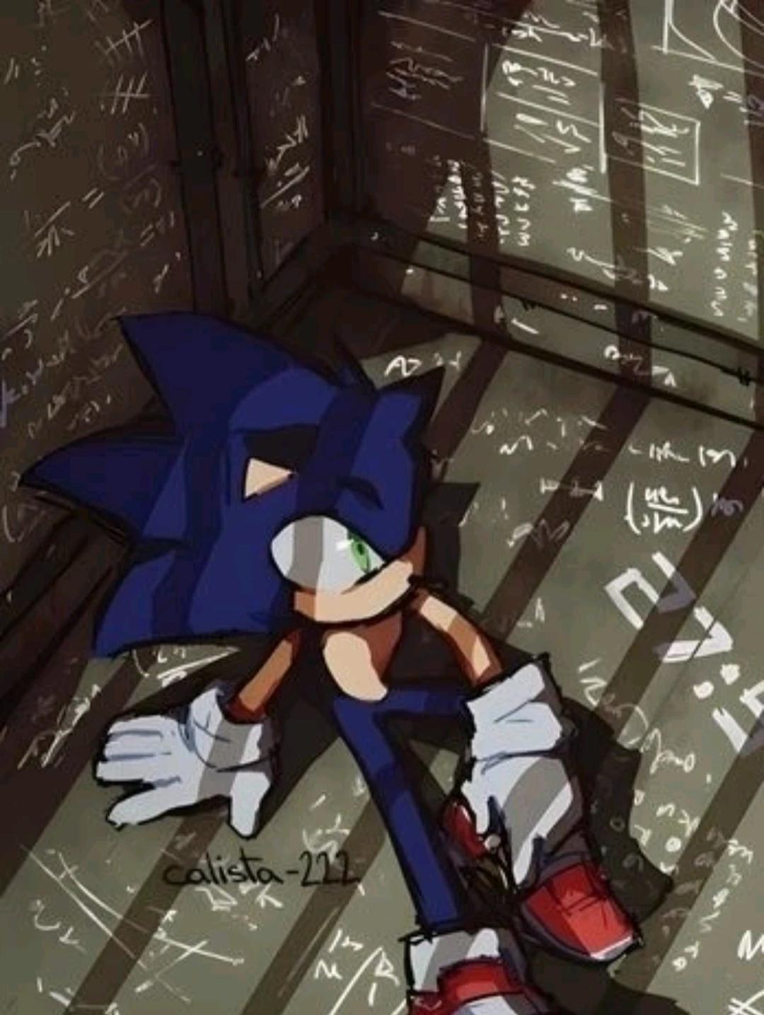 team Sonic prisoners EMOCHI VERSION thumbnail
