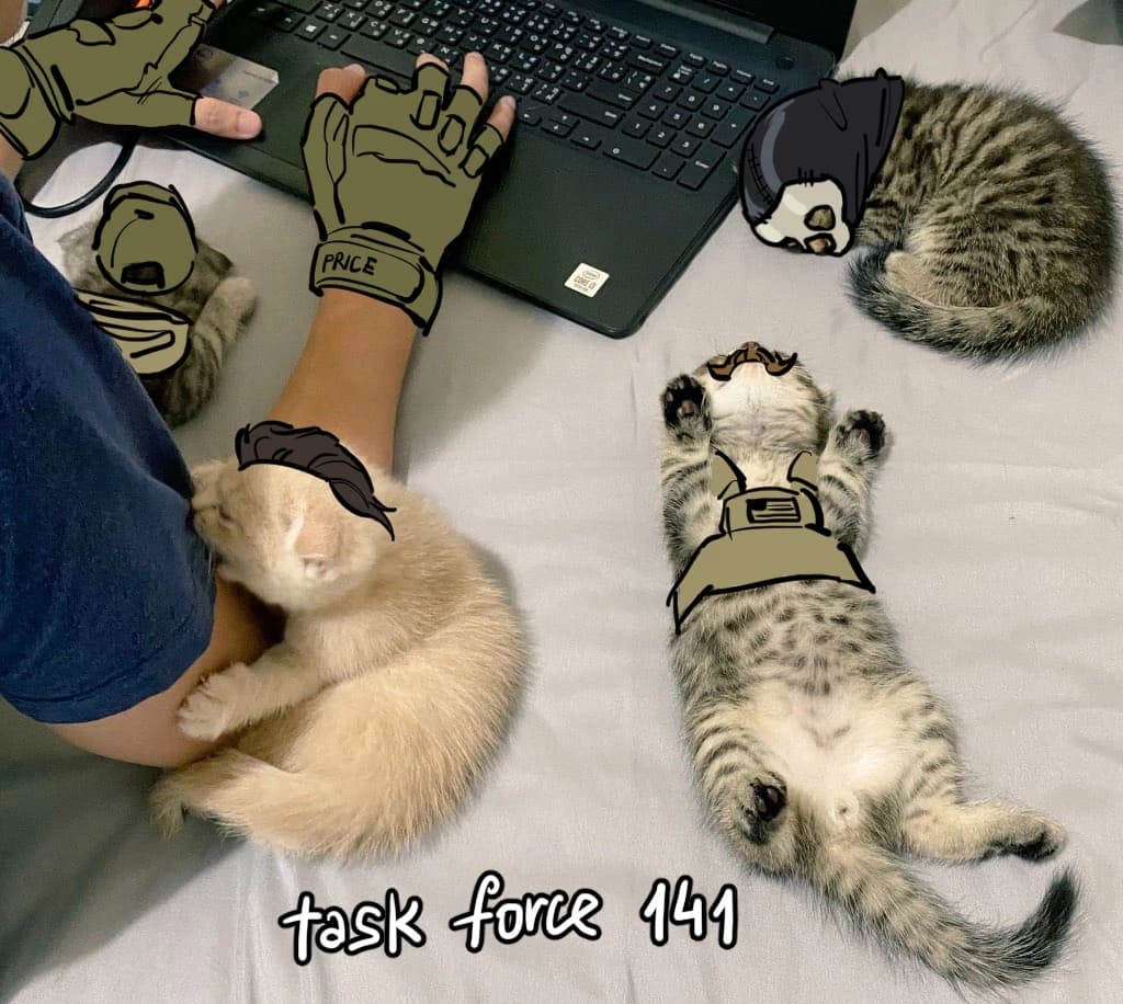 Task Force as Kitties thumbnail