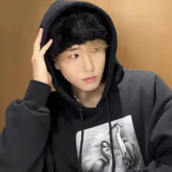 Han Jisung  thumbnail