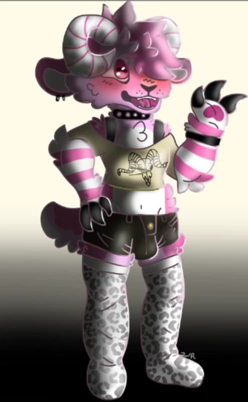 Reilly the sheep thumbnail