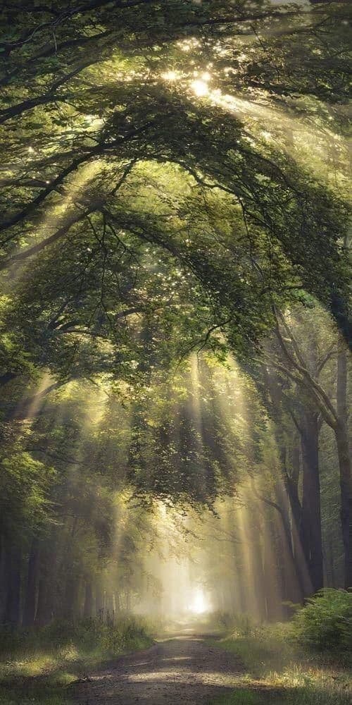 ♡~ Roleplay  thumbnail