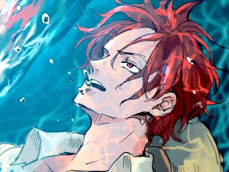 🌊Akagami no Shanks ❤️‍🔥 thumbnail