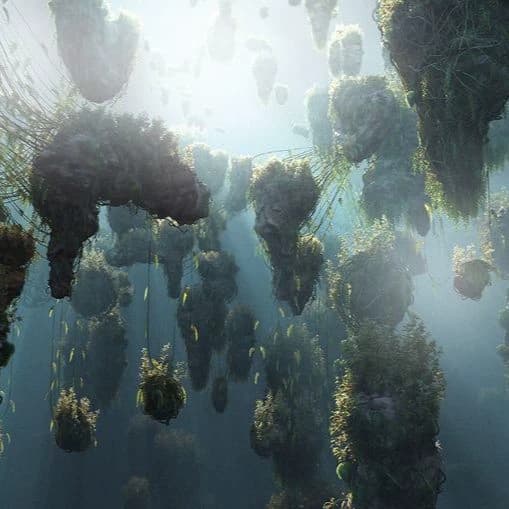 Pandora thumbnail